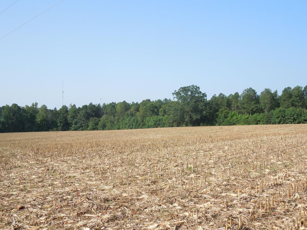 Buckhorn Properties Partners LLC Tract Orange County, NC Timber