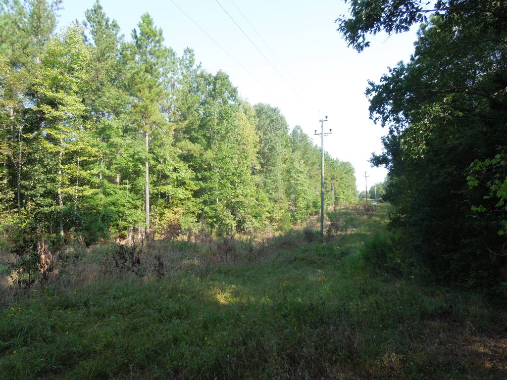 Buckhorn Properties Partners LLC Tract Orange County, NC Timber