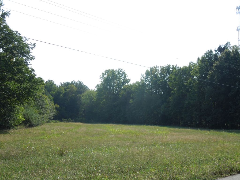 Buckhorn Properties Partners LLC Tract Orange County, NC Timber