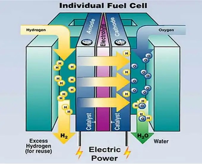 Electrode Reactions in Fuel Cells Anode and Cathode
