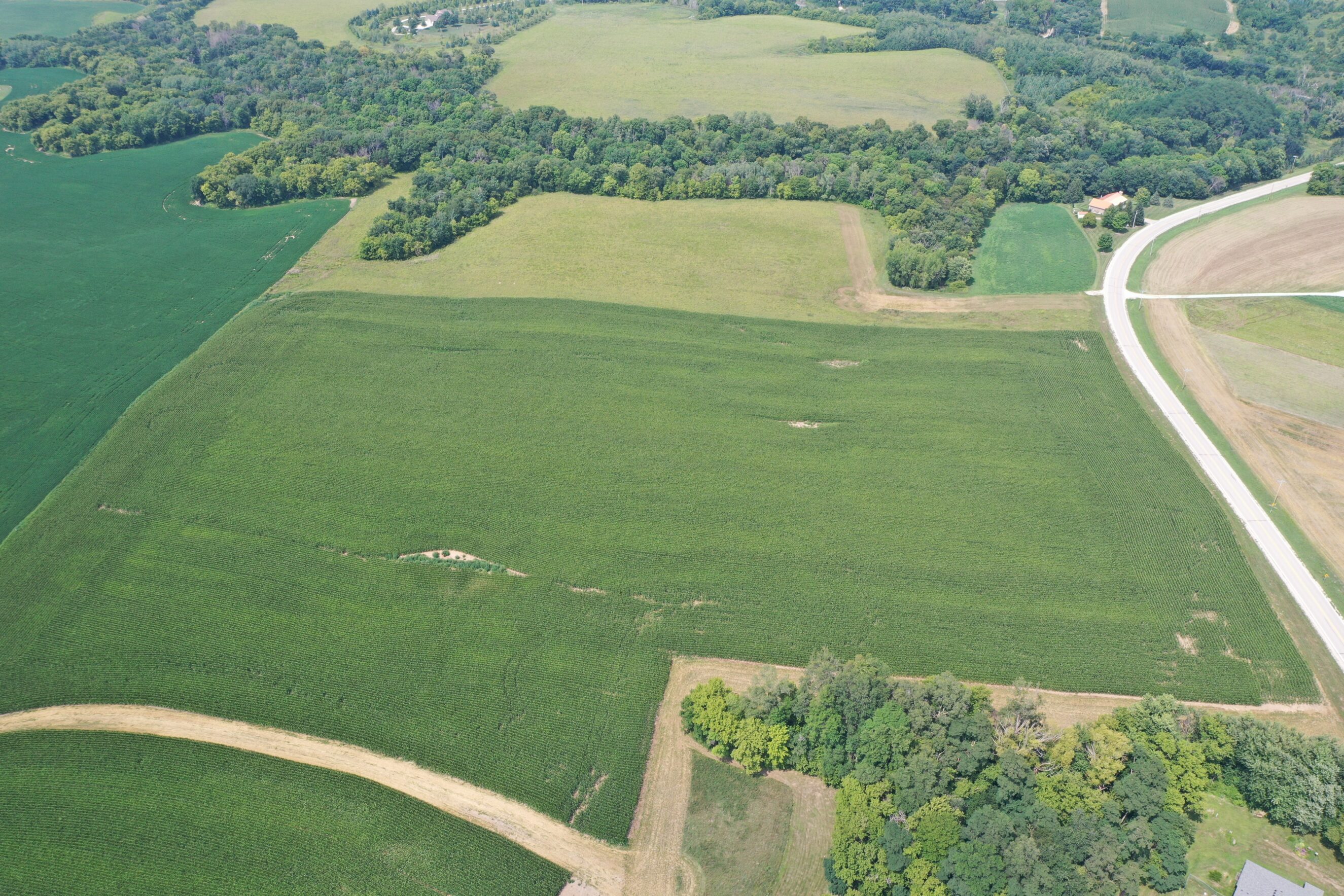 Farms Montgomery Realty and Auction Plainview, MN