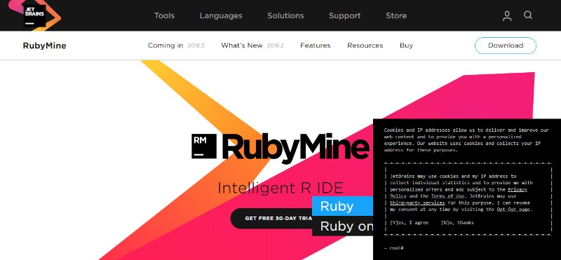 14 Best Web Development IDE in 2020 [CSS, HTML, JavaScript] TMS