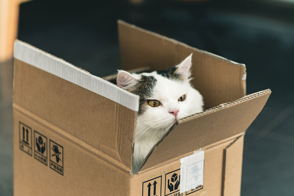 Moving Boxes Near Me TMS Self Storage