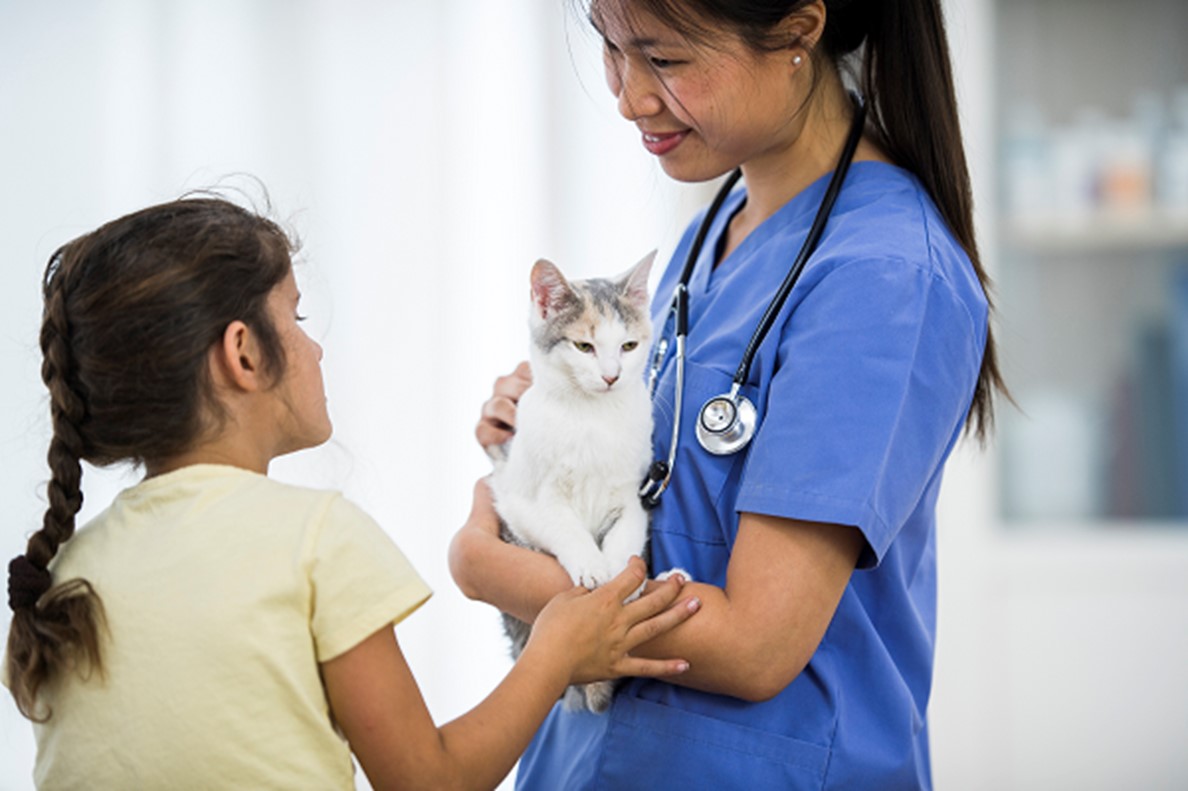 Why Preventive Healthcare is Important for Cats Truckee Meadows