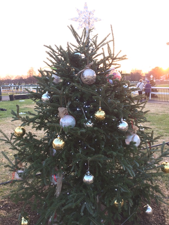 Tennessee National Christmas Tree Tennessee Arts Commission