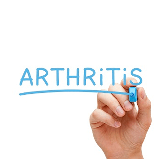 True North Disability Services