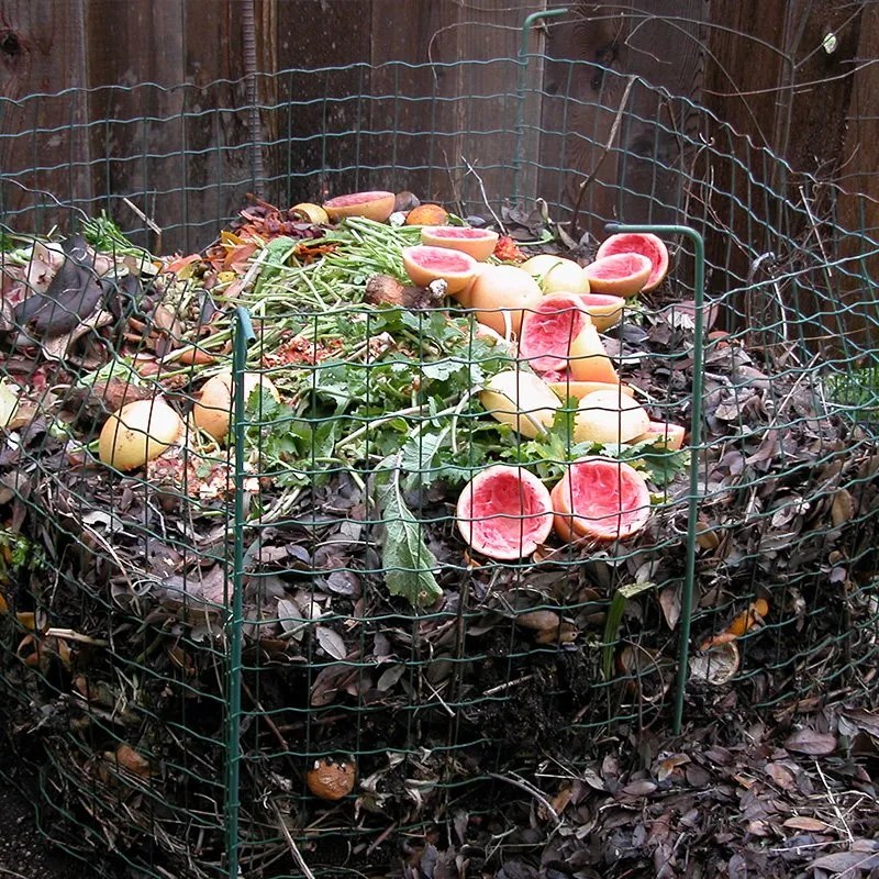 How to Compost The Natural Gardener