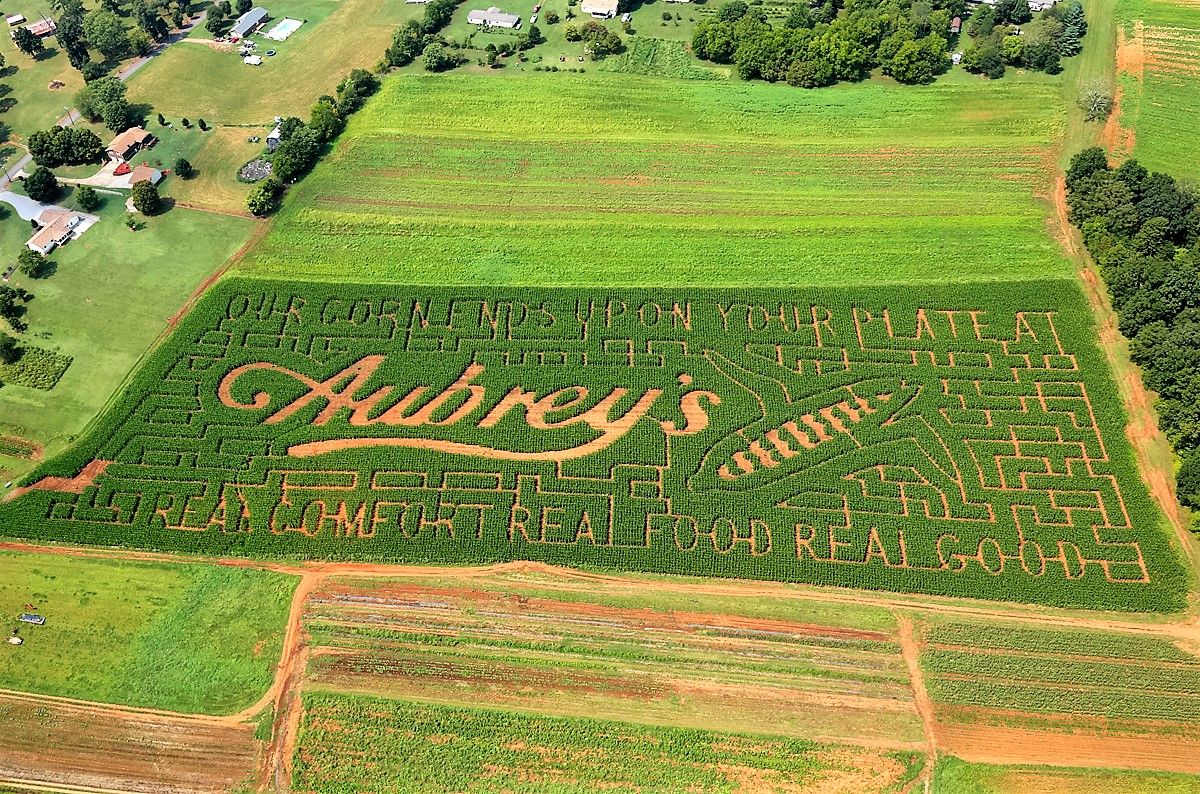 Gallery Maple Lane Farms