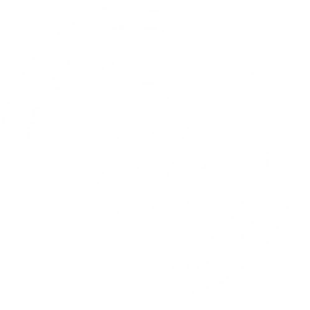 Explosive Revelations 'Dynamite Nashville' Investigates Civil Rights