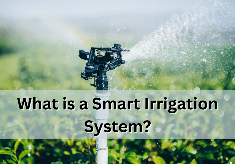 What is a Smart Irrigation System? Pipe Master Plumbing