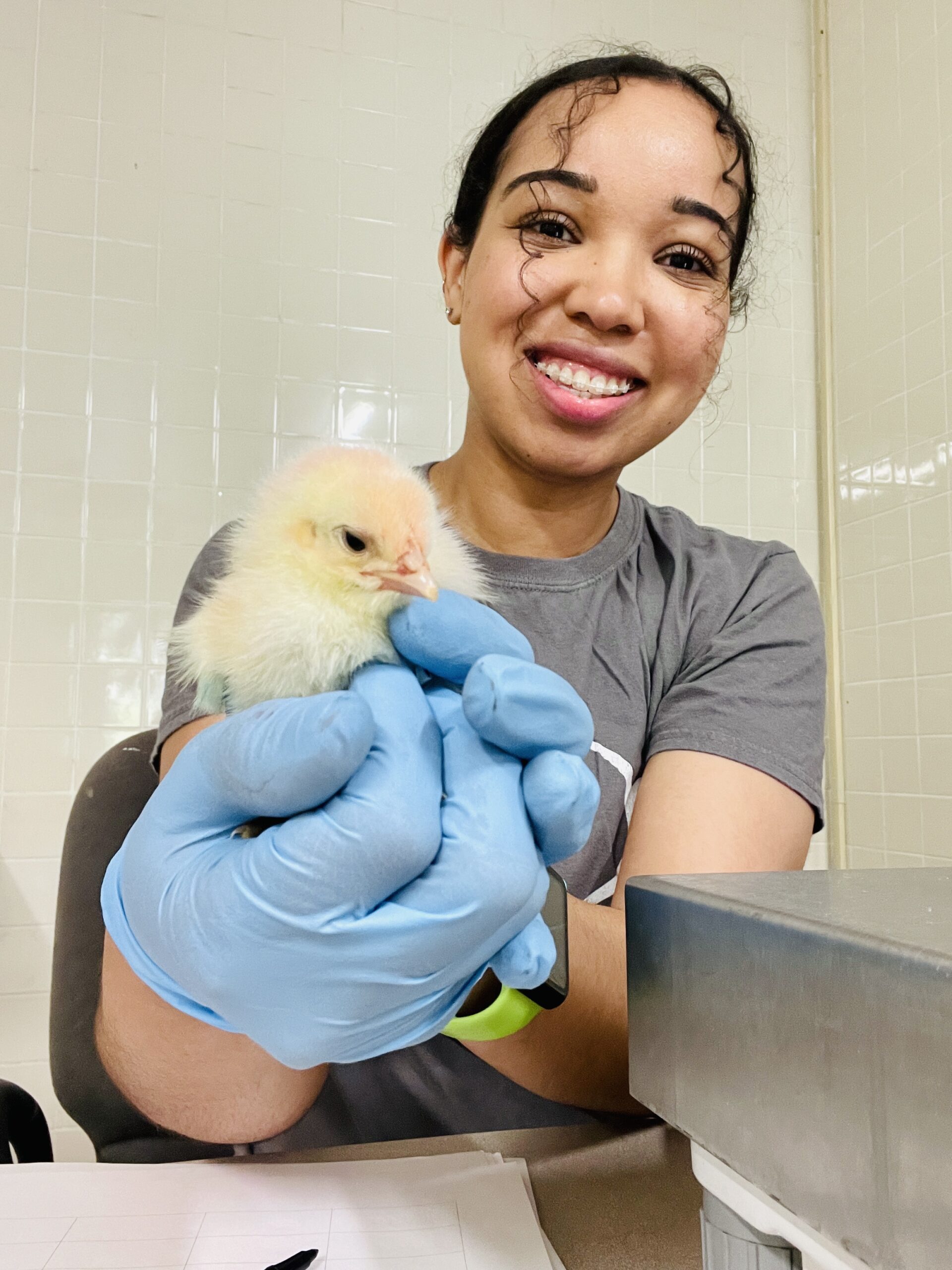 TSU firstyear graduate student awarded poultry industry scholarship