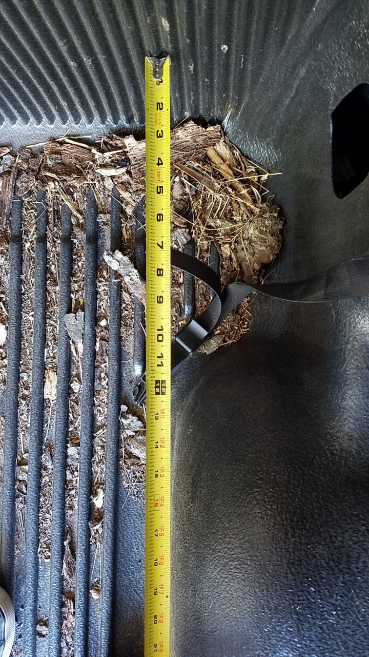 2018 Tundra CrewMax Bed Dimensions Help... Toyota Tundra Forum