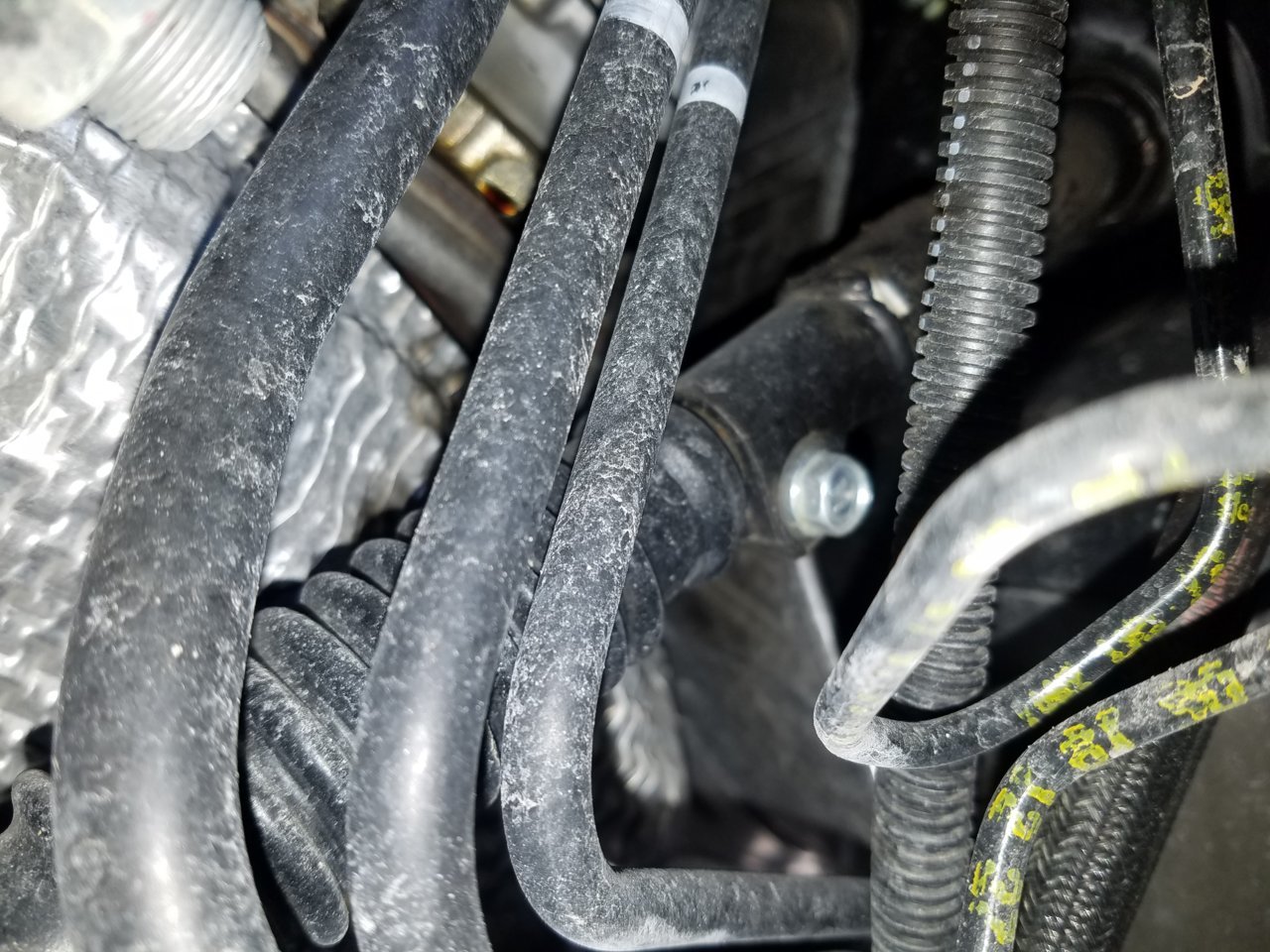2019 Toyota Tundra Cam Tower Leak