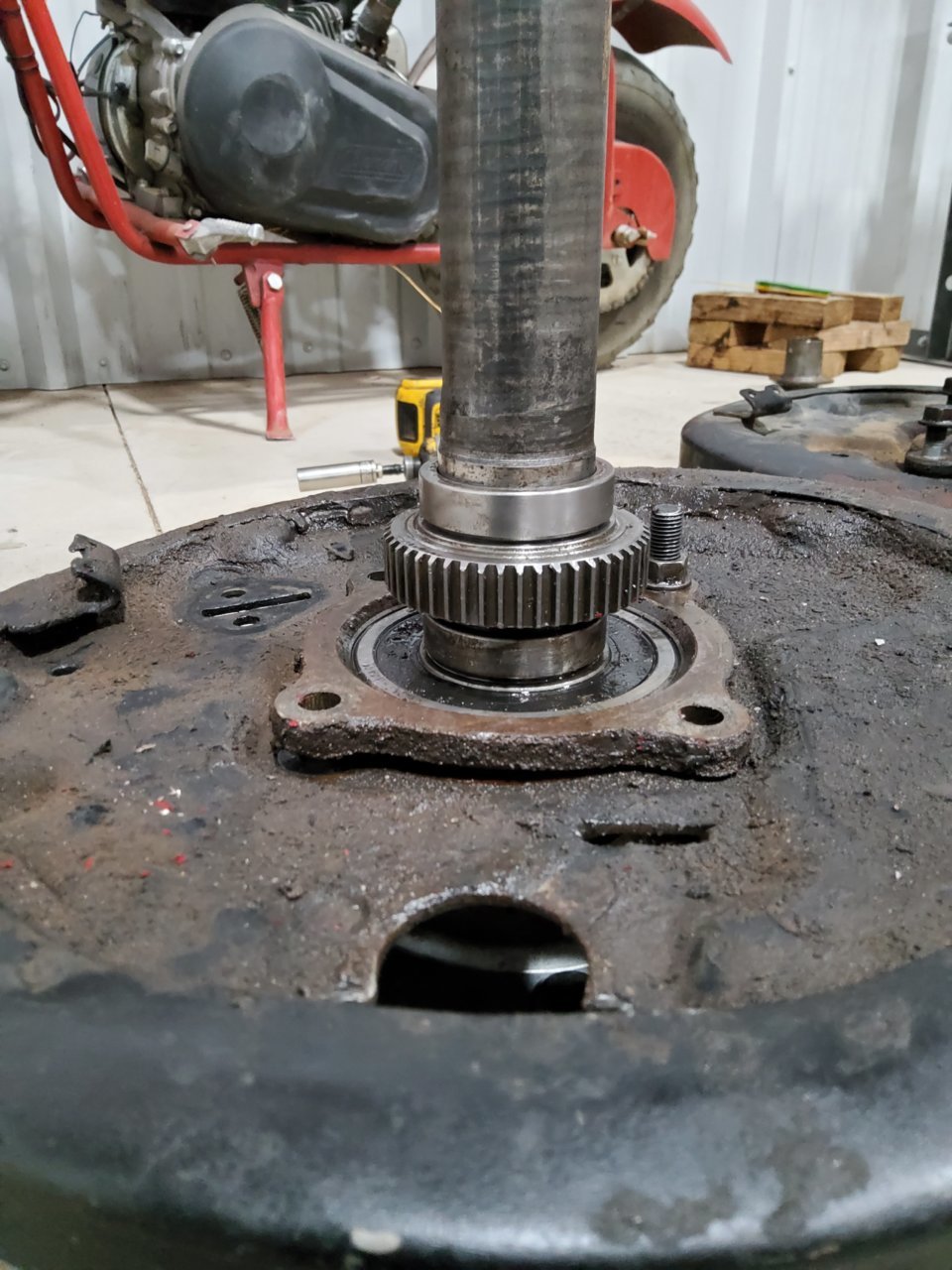 02 tundra rear axle | Toyota Tundra Forum