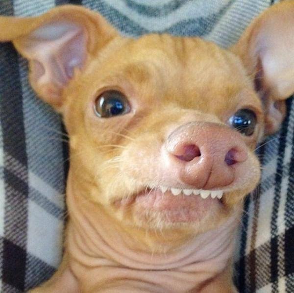 Not the best way to haul a boat! Ha! Toyota Tundra Forum