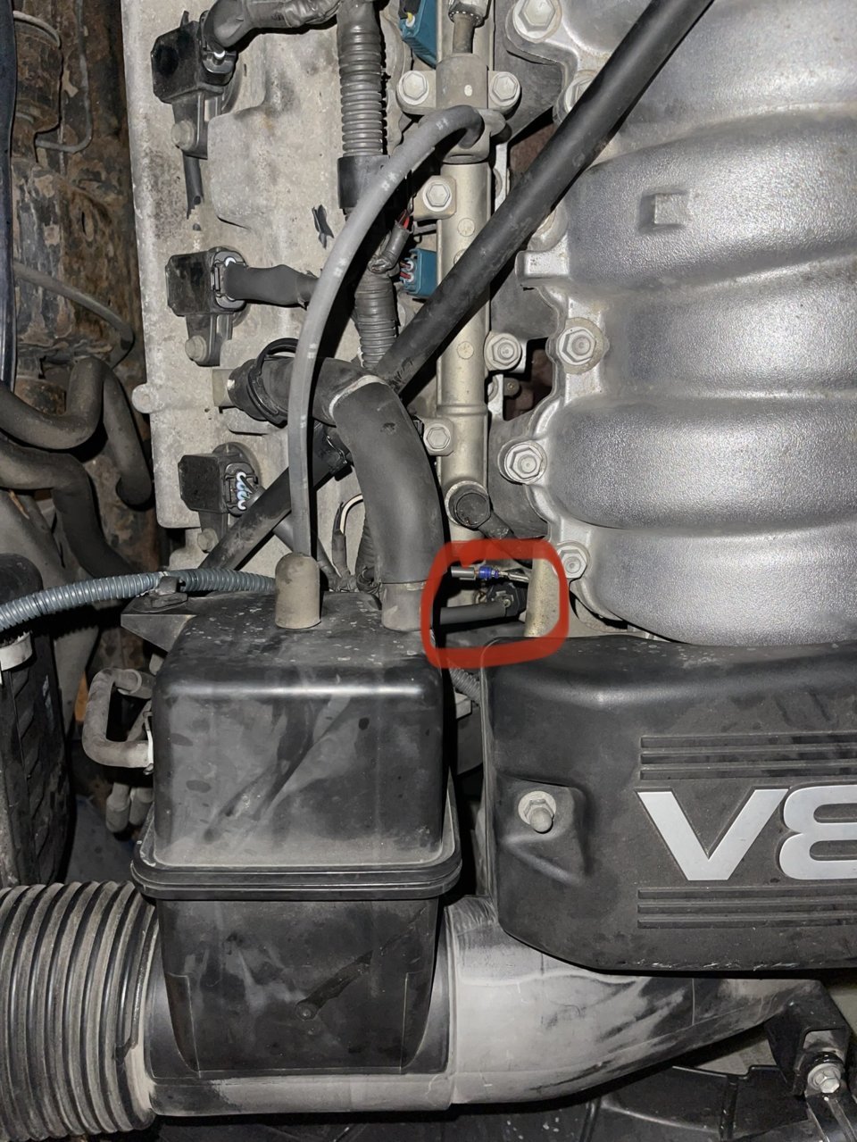 Anyone know what this wiring harness is?? | Toyota Tundra Forum