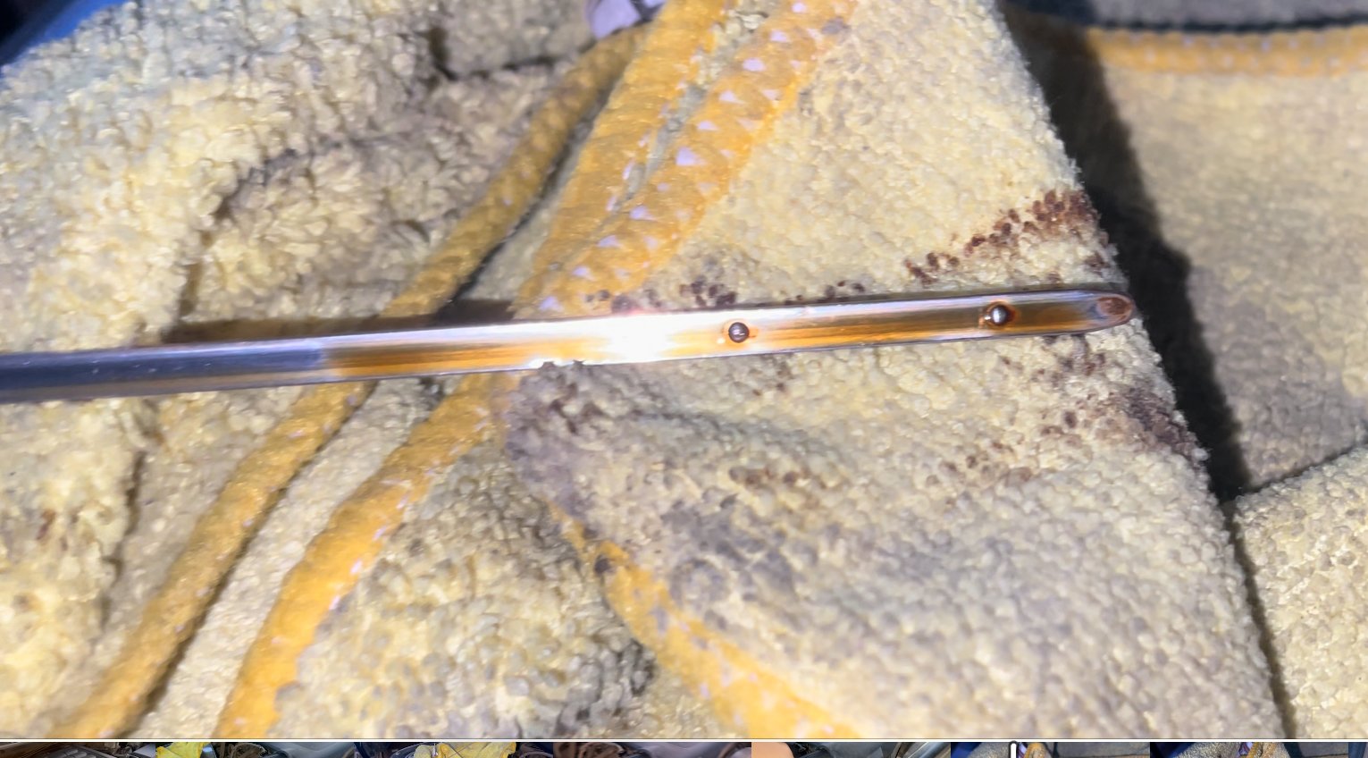 Jiffy Lube drained transmission pan and overfilled oil Toyota Tundra