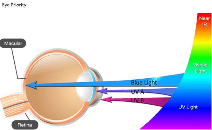 What is Blue Light & Its Effects on Eye Health? Trinidad and Tobago Eye Care & Optical