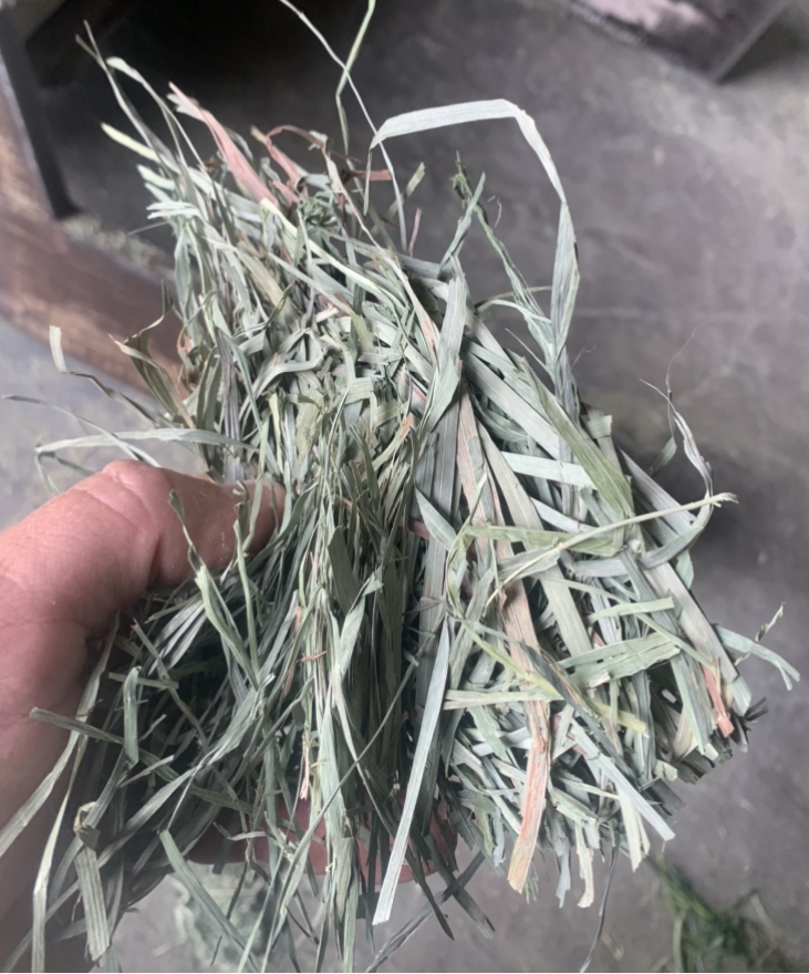 What is low sugar hay? Is local hay Low sugar?