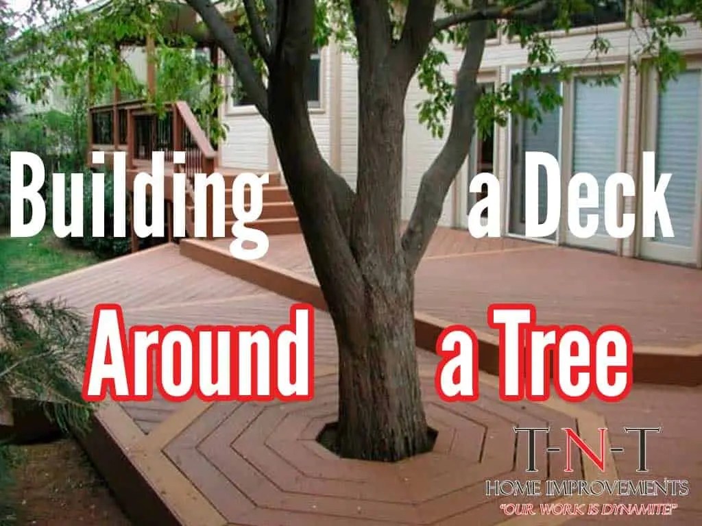 How Do You Build A Deck Around A Tree at Bradley Westrick blog