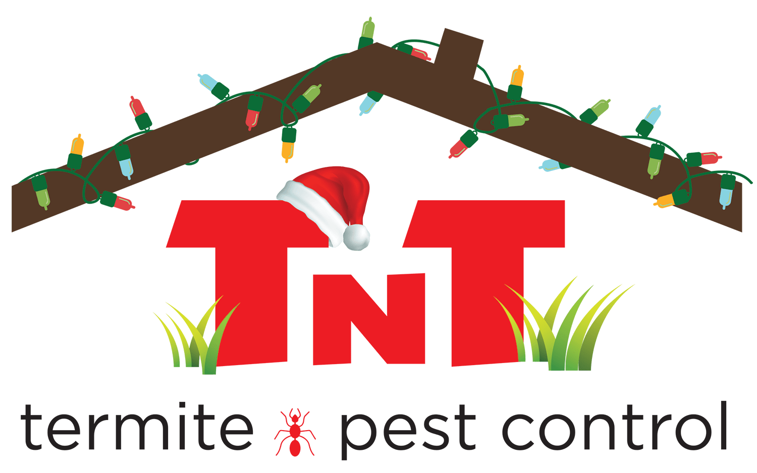 TNT Termite & Pest Control Valrico, FL Call 8137169196