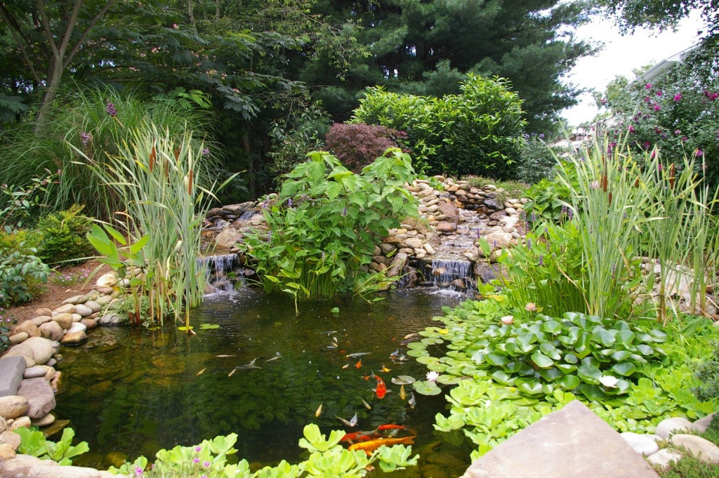 24. The Ultimate Koi Pond Tennessee Water Gardens
