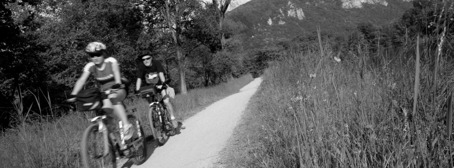 Sports Medicine Tennessee Orthopaedic Alliance