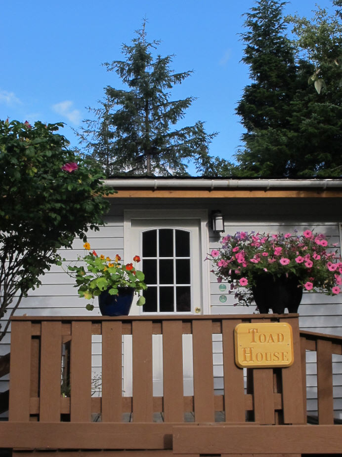 Guesthouse & Photos Toadfarm A Tlell Guest House