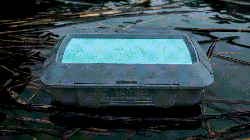 Toadfish EcoFriendly Coastal Products