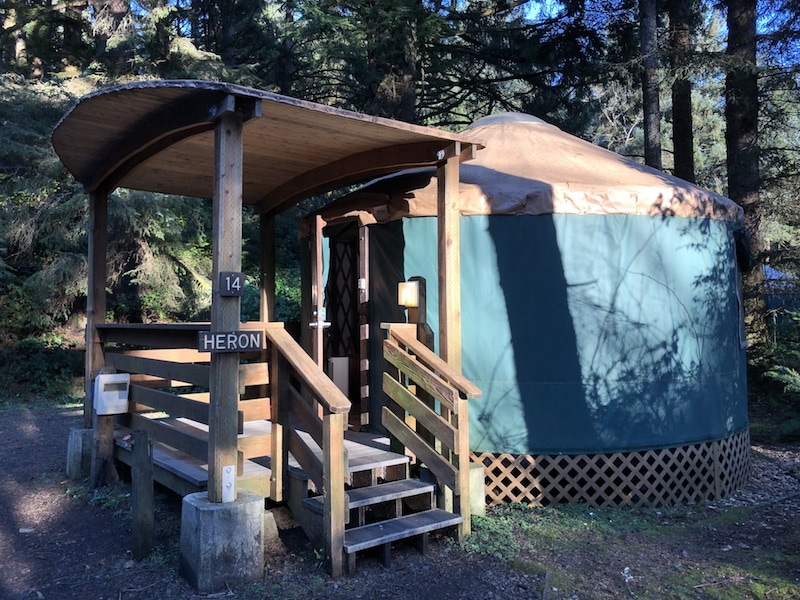 Are Dogs Allowed On Beverly Beach