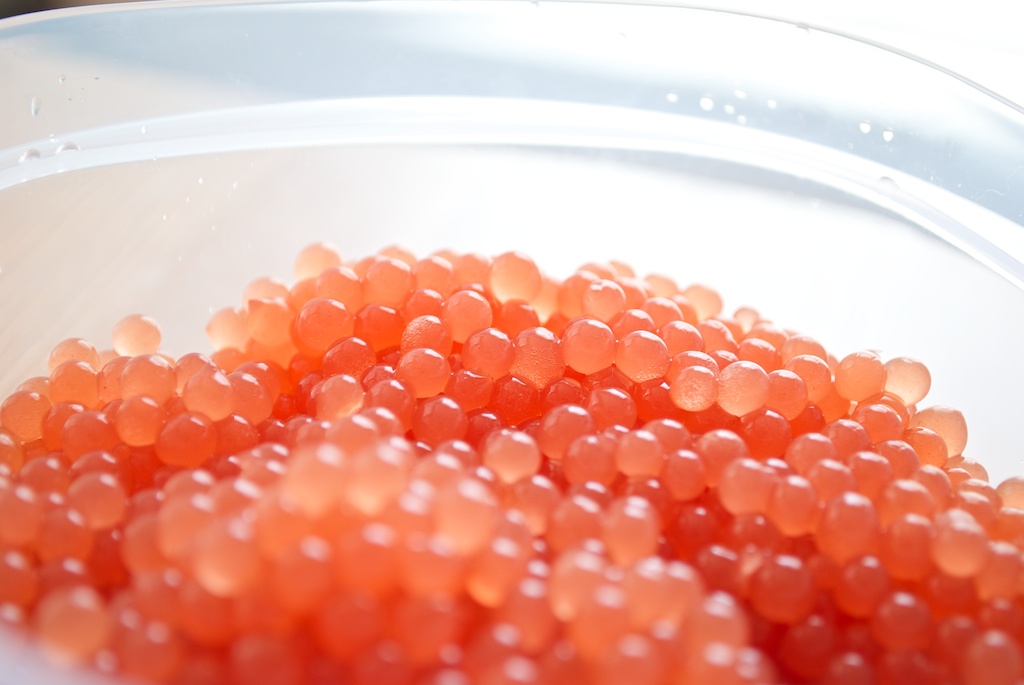 How To Make Faux Caviar_左庶_新浪博客