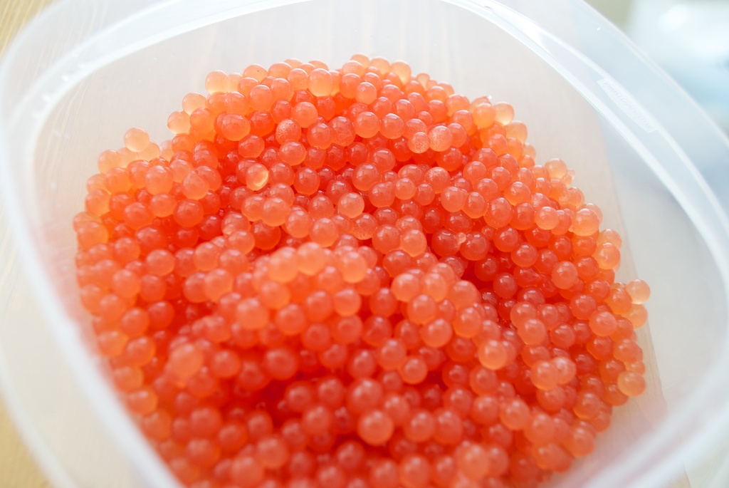 Watermelon Caviar, an Introduction to Molecular Gastronomy Toastable