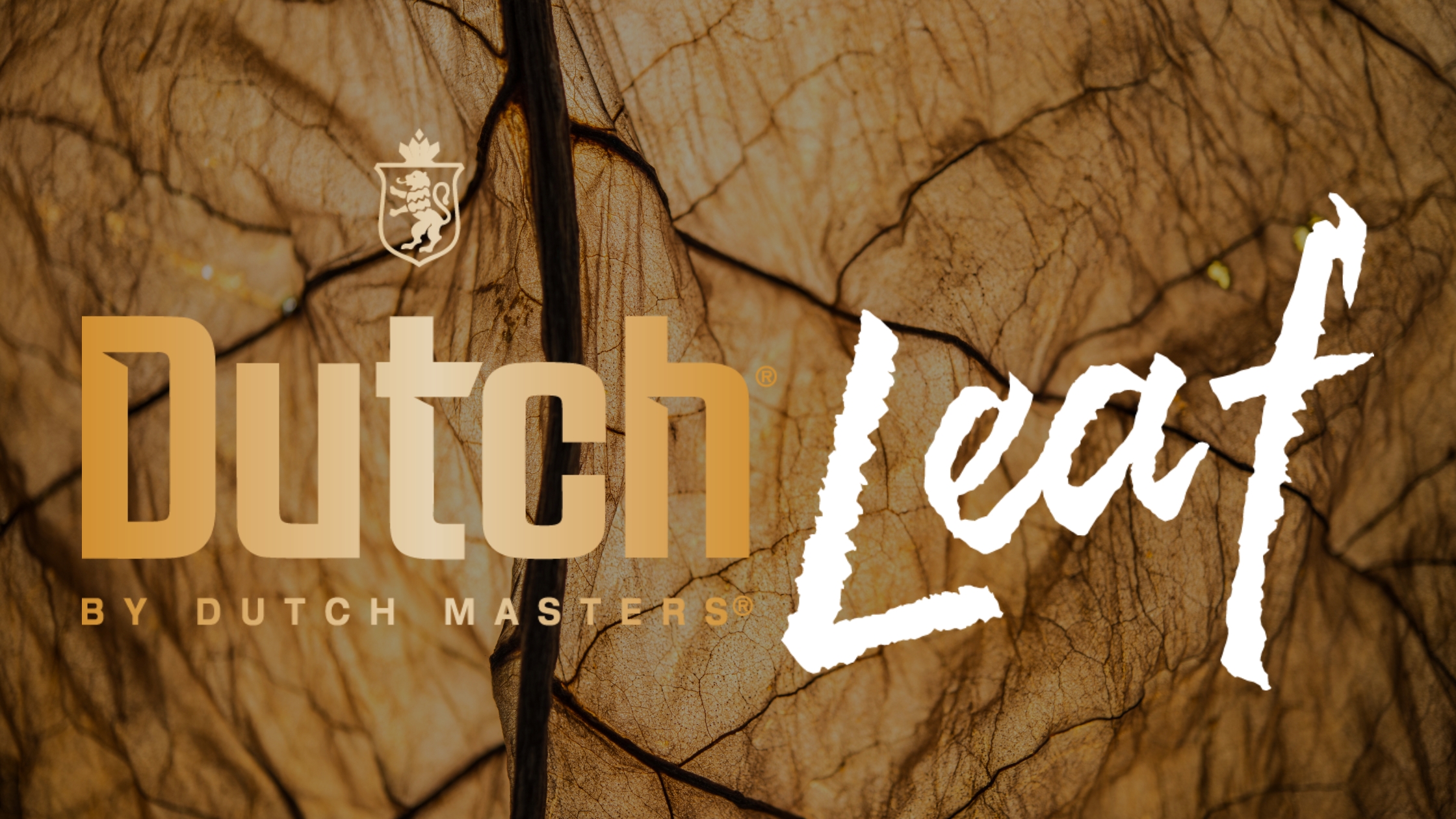 Dutch Leaf Cigarillos Tobacco Blogger