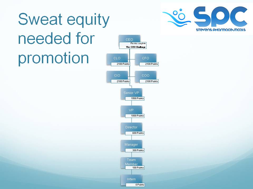Organizational Chart & Sweat Equity Who Wants to Be CEO?