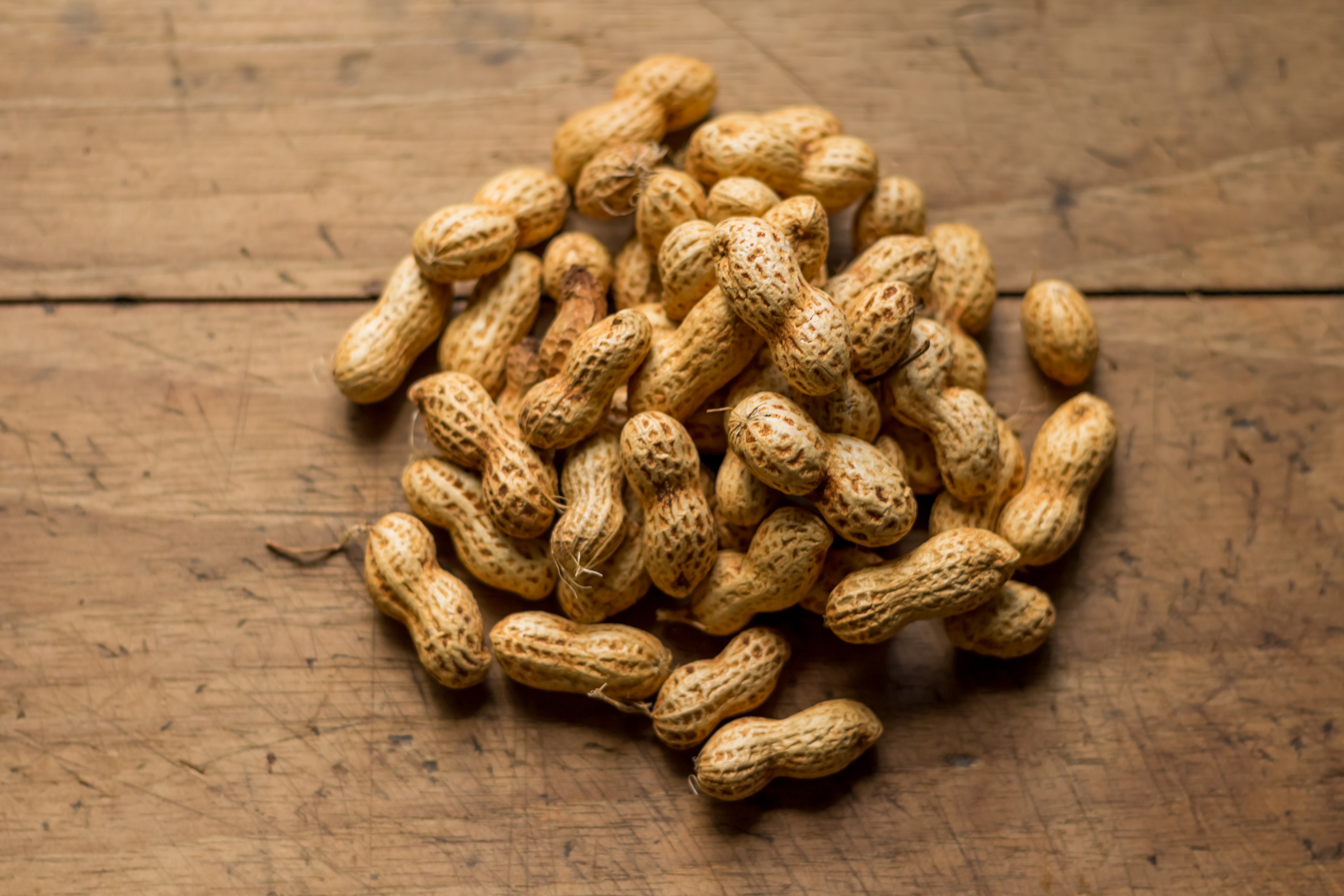 The Life Of A Peanut — A Short Story – Tobias Hrothgar