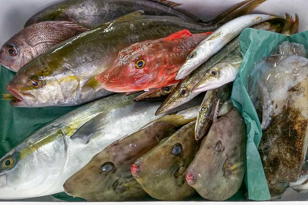 越前かにの魚屋 とび魚 魚屋 とび魚のオンラインショップ