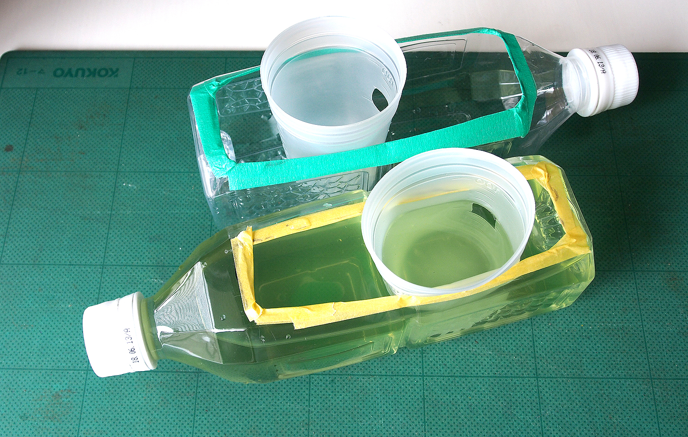 500mlペットボトルで簡単に作ってみた！メダカ稚魚の飼育容器 tockhouse