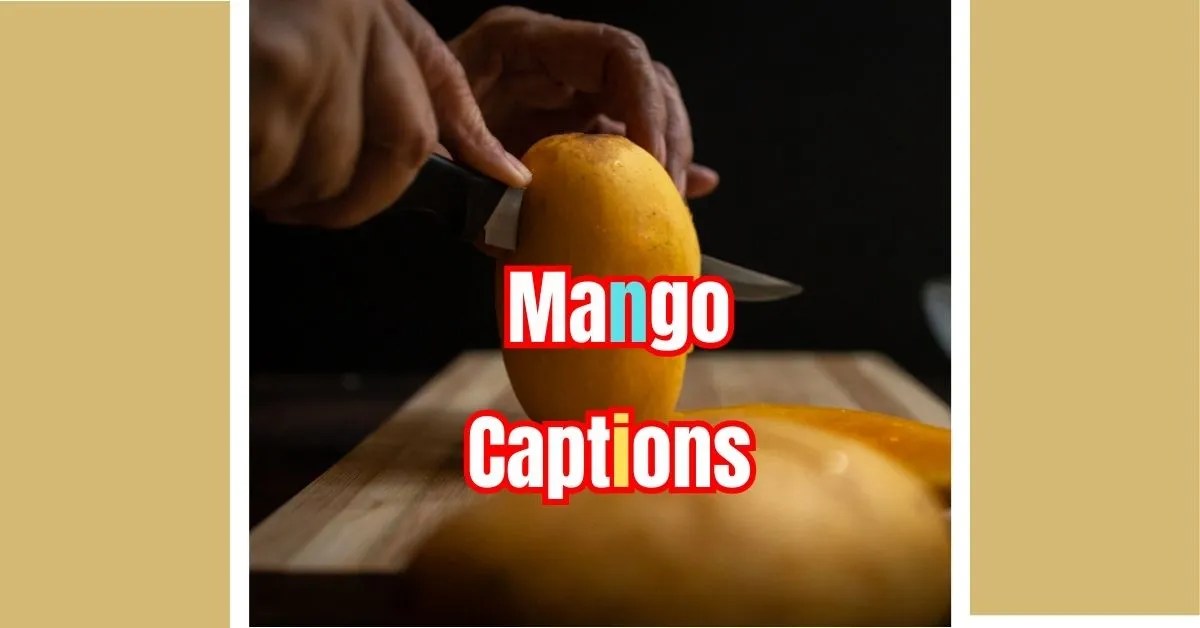 Juicy Mango Captions for Instagram Sweet and Savory Quotes