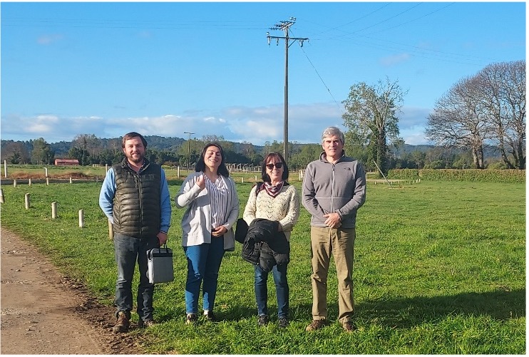 Expanding Collaborations in Latin America Dean of College of