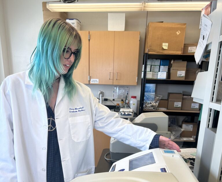 Superworms to the rescue | Marquette Today