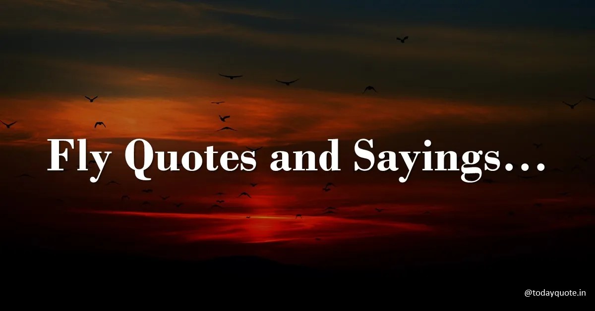 161 Best Fly Quotes and Sayings Todayquote