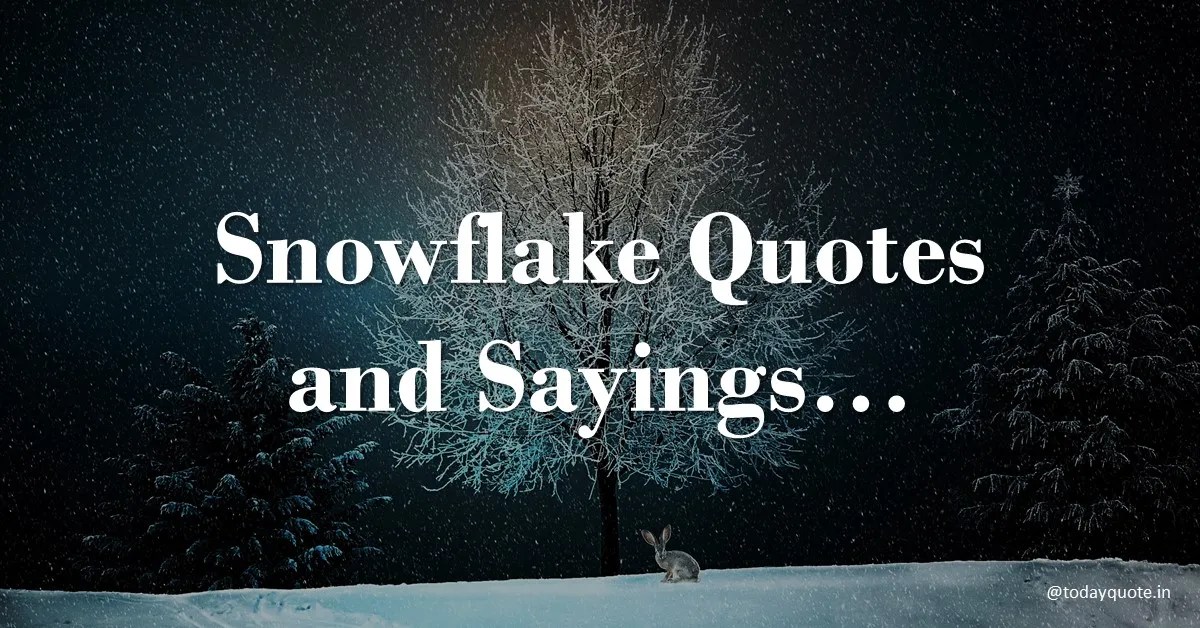 156 Best Snowflake Quotes and Sayings Todayquote