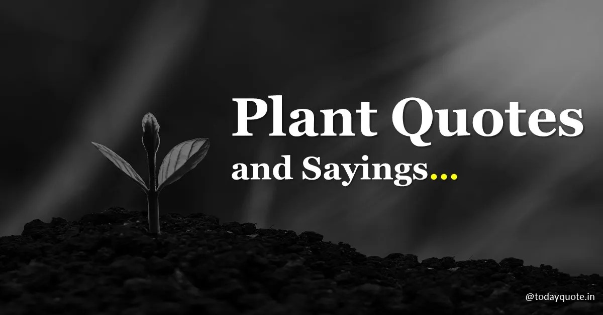 175 Best Plant Quotes and Sayings Todayquote