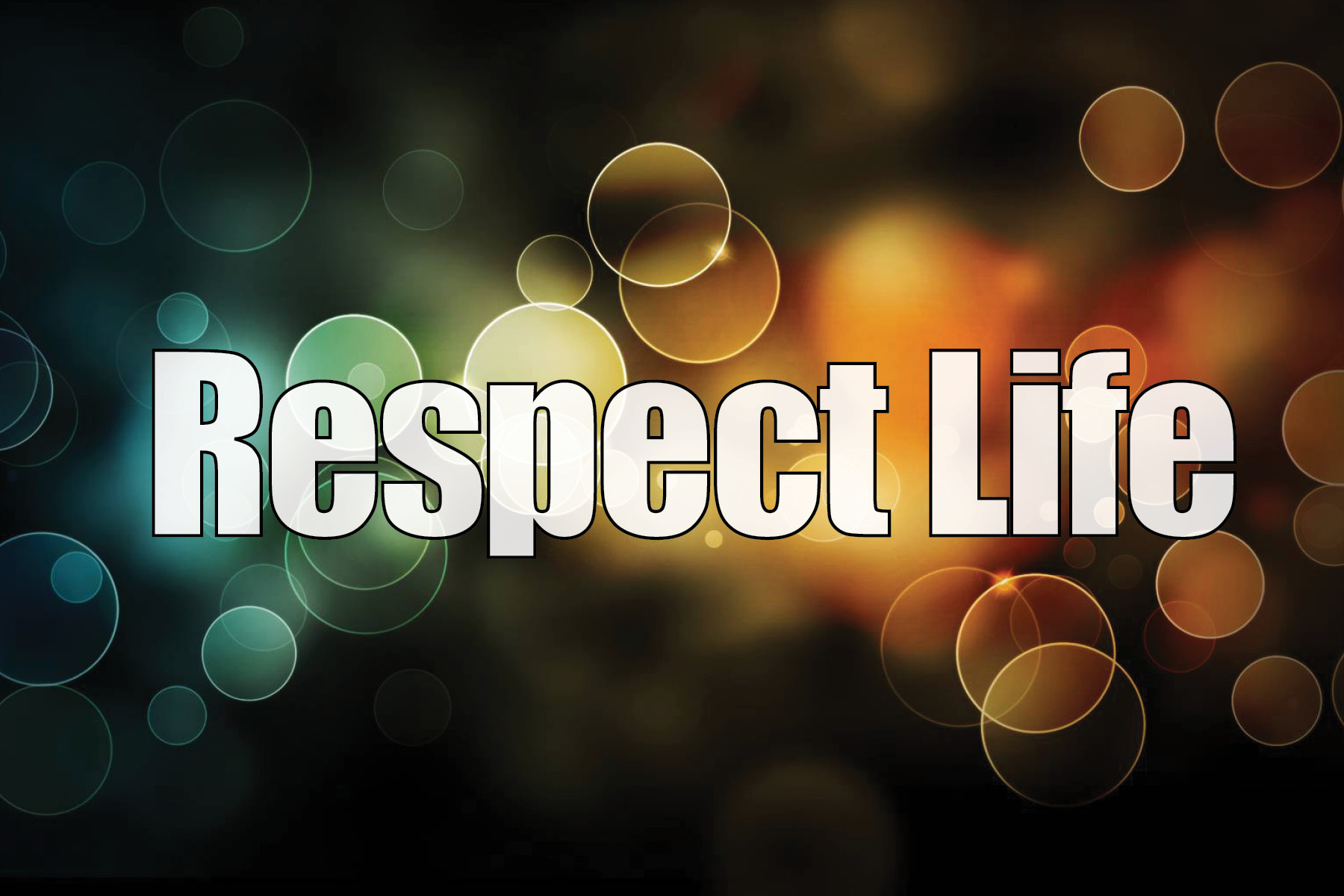 Catholic Charities’ ECHO Program helps teen mom choose life and build a