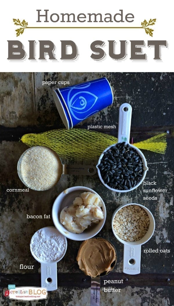 Homemade Bird Suet Recipe Today's Creative Life