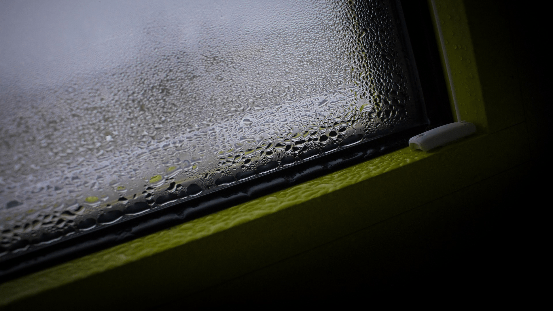 A Sign of High Humidity Is Moisture and Mold