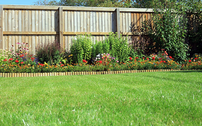 Weed Man Lawn Care Review — Is It Worth It? Today's Homeowner