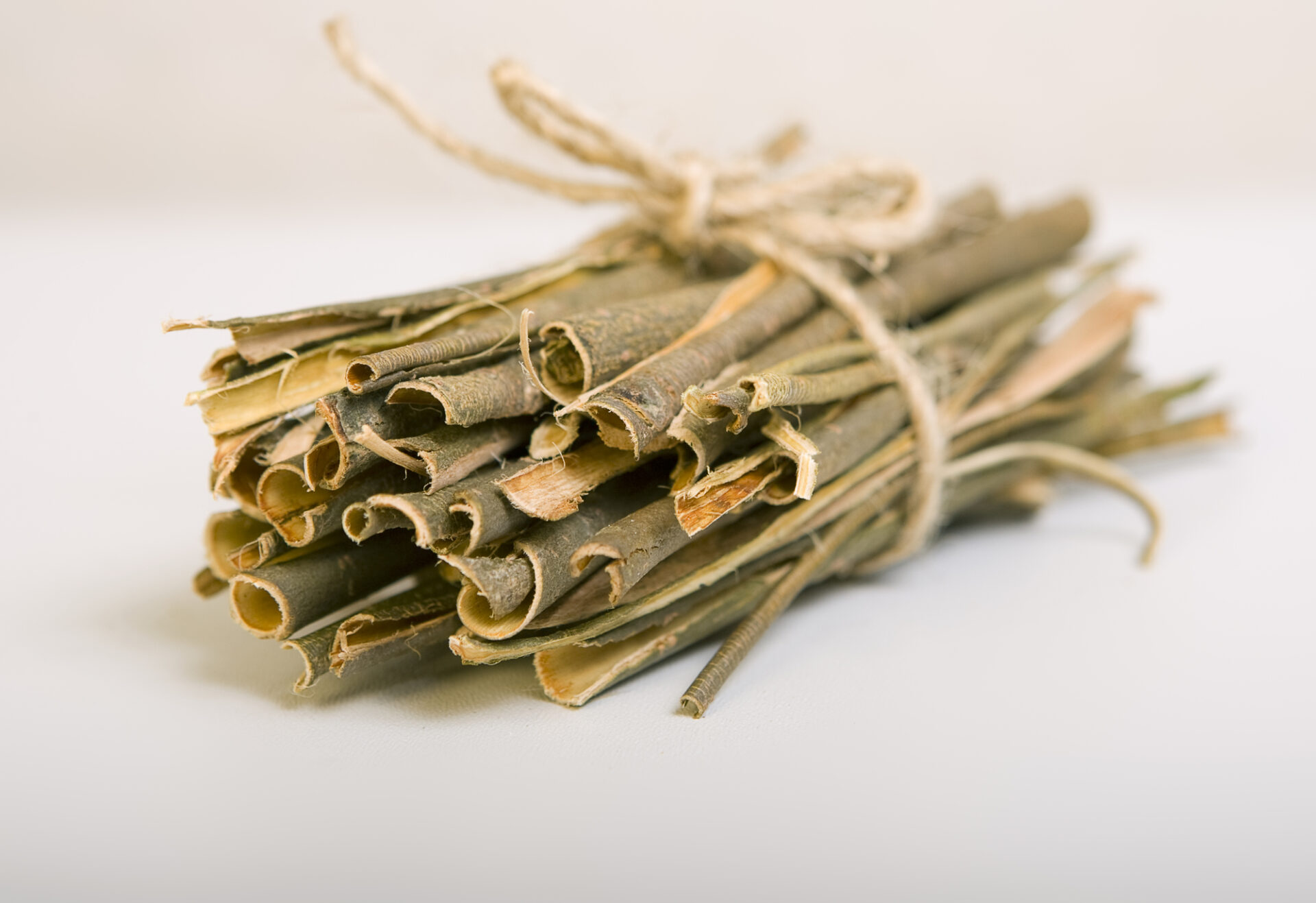White Willow Bark for Pain 2 Supporting Studies Today's Practitioner