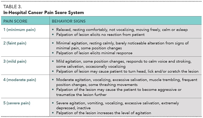 Strategies for Managing Cancer Pain in Dogs and Cats, Part 1