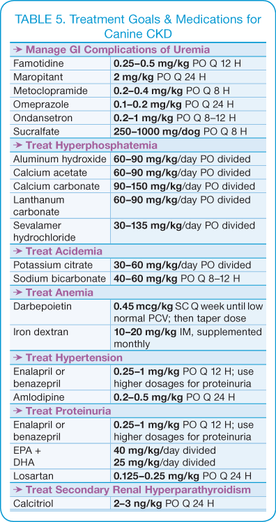 Canine Chronic Kidney Disease | Diagnostics & Goals for Long-Term